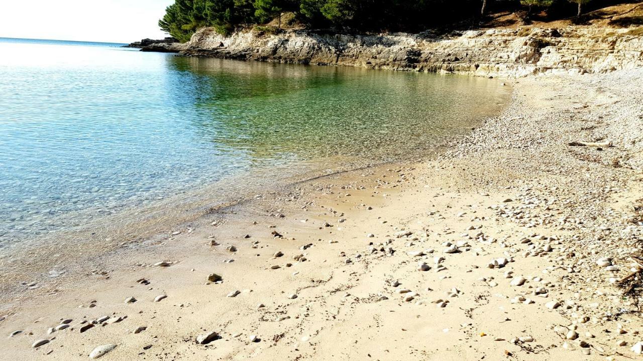 普拉Argonauti With Free Parking公寓 外观 照片